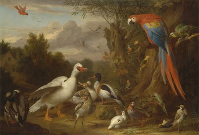 A Macaw, Ducks, Parrots and Other Birds in a Landscape by Jacob Bogdani